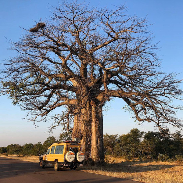 Imbondeiro and Ecotur vehicle