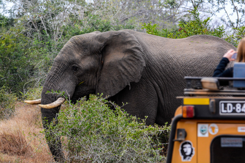 EcoTur Background Image